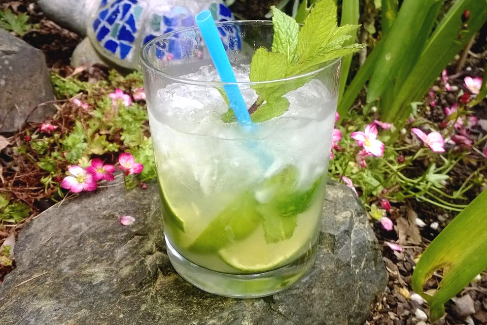 Mojito