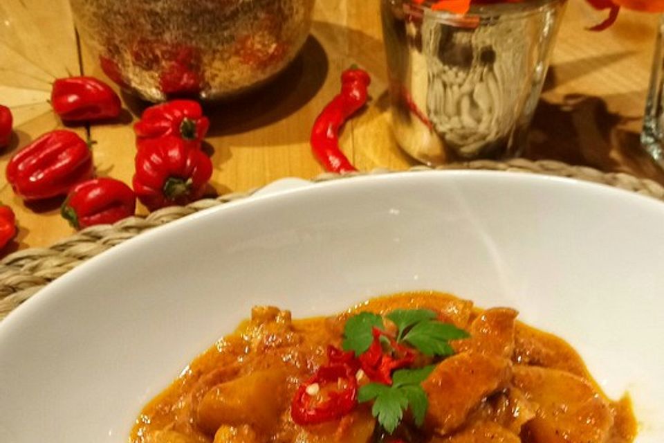 Indisches Vindaloo - Curry