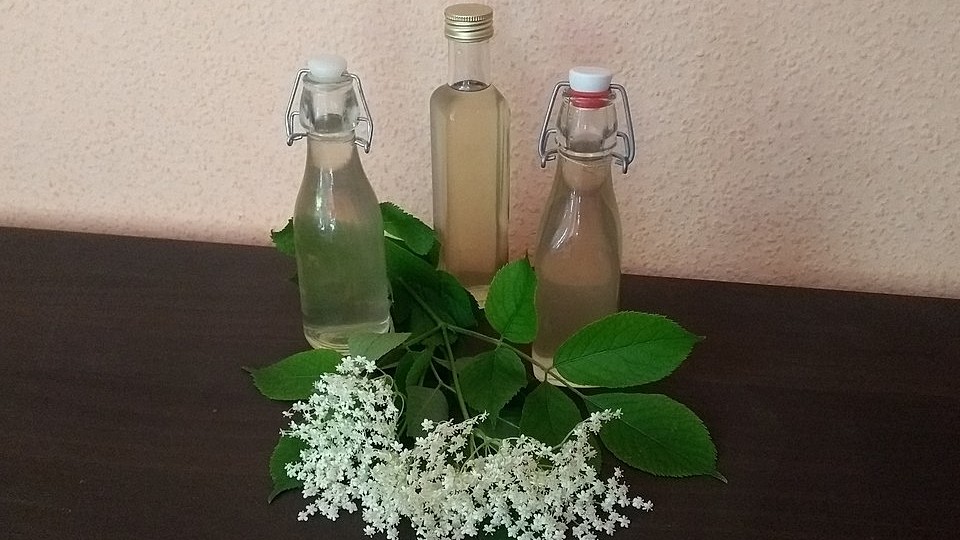 Holunderblütensirup von julehathunger