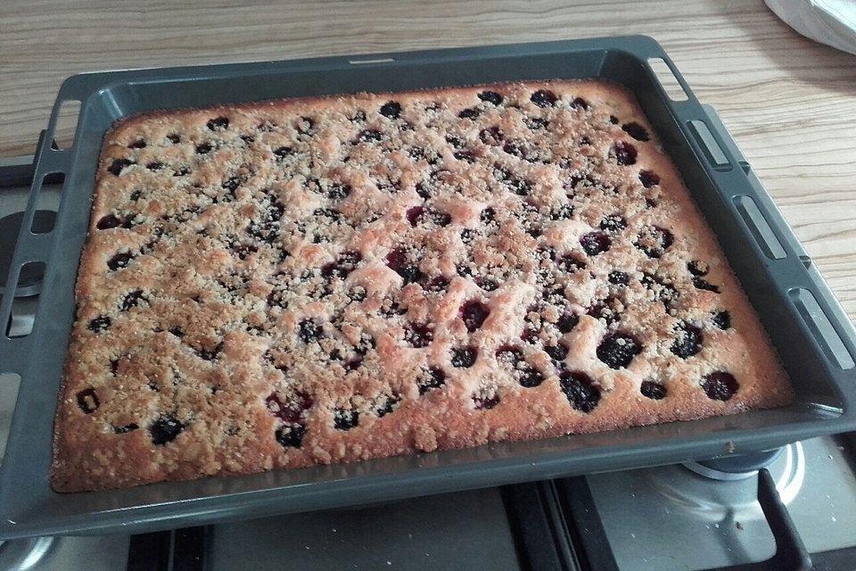 Brombeer - Quarkkuchen mit Sesamstreuseln