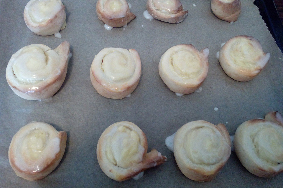 Puddingschnecken Puddingschnecken