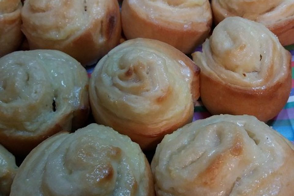 Puddingschnecken Puddingschnecken