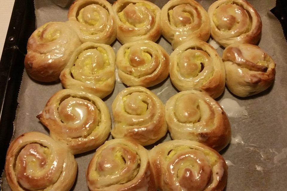 Puddingschnecken Puddingschnecken