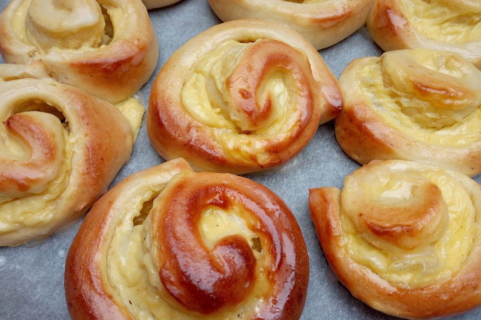 Puddingschnecken Puddingschnecken