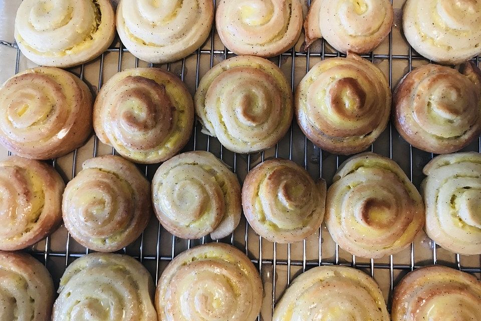 Puddingschnecken Puddingschnecken