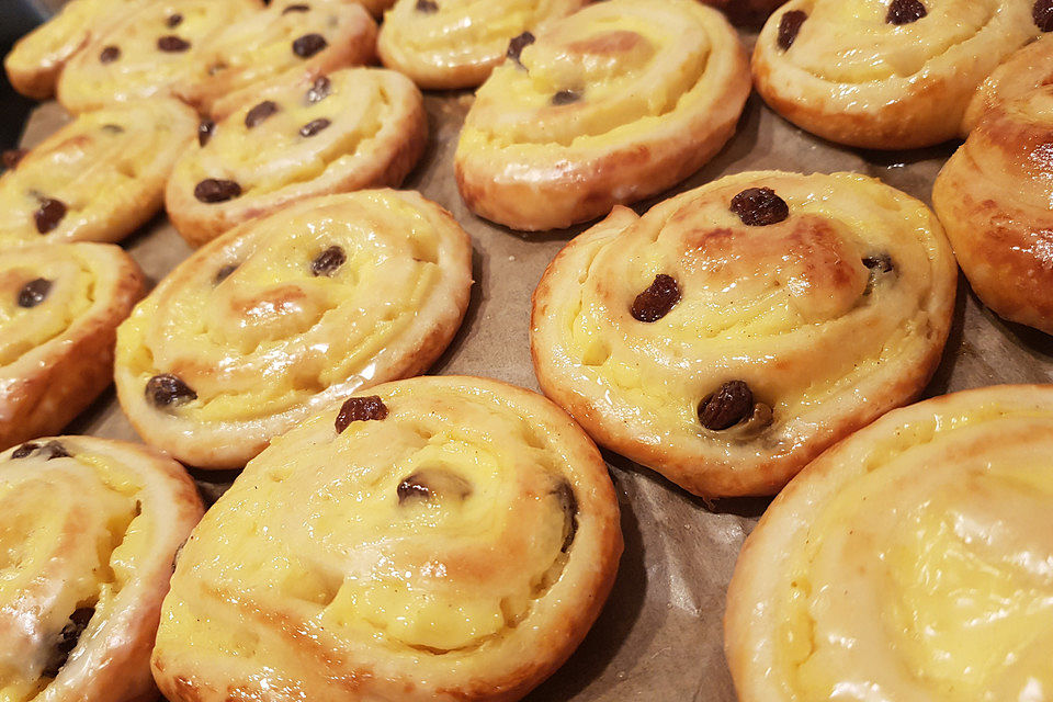 Puddingschnecken Puddingschnecken