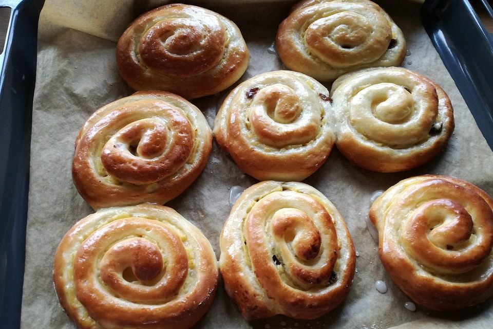 Puddingschnecken Puddingschnecken