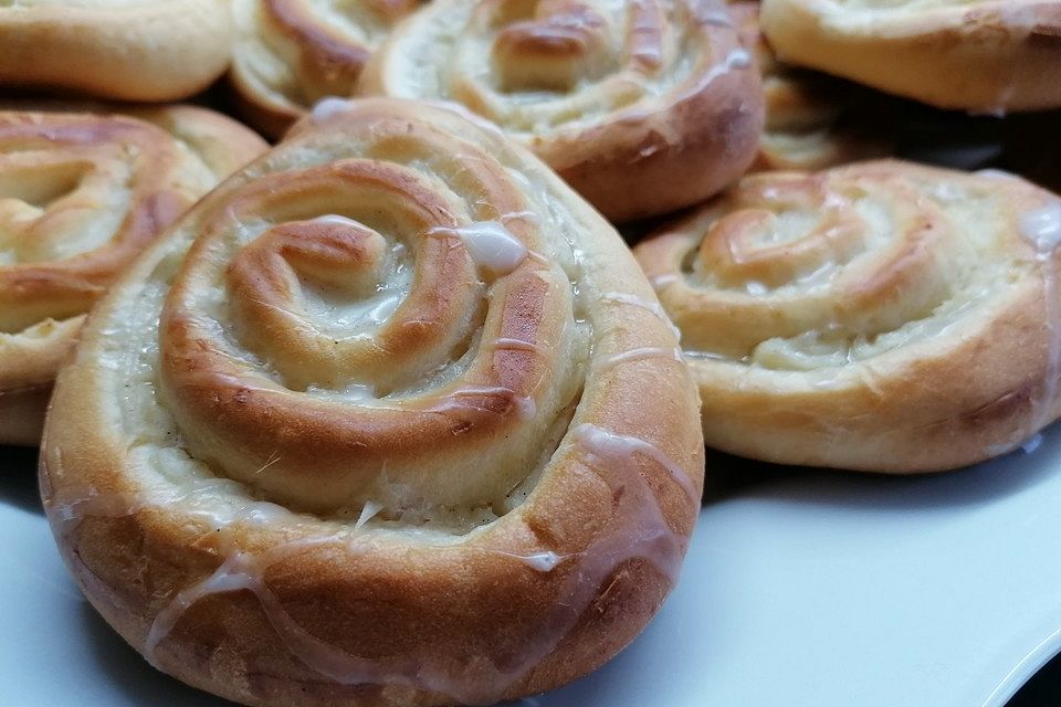 Puddingschnecken Puddingschnecken