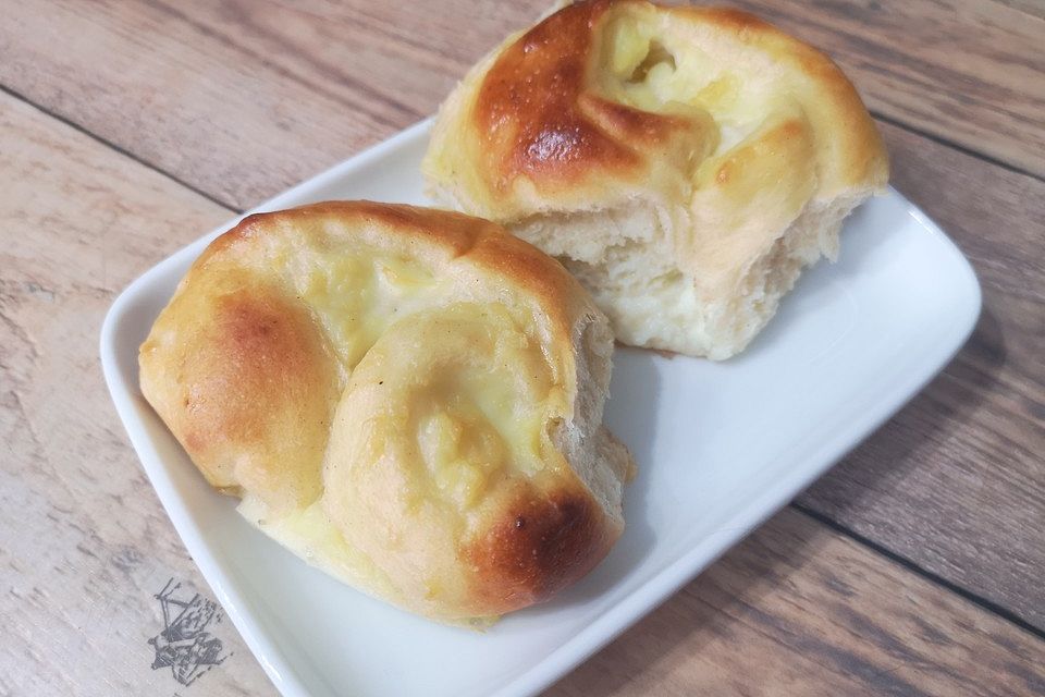 Puddingschnecken Puddingschnecken