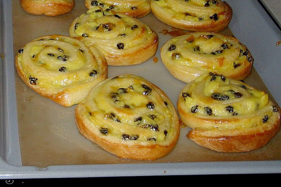 Puddingschnecken Puddingschnecken