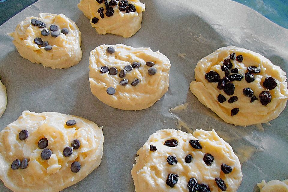 Puddingschnecken Puddingschnecken