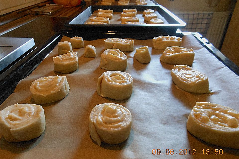 Puddingschnecken Puddingschnecken
