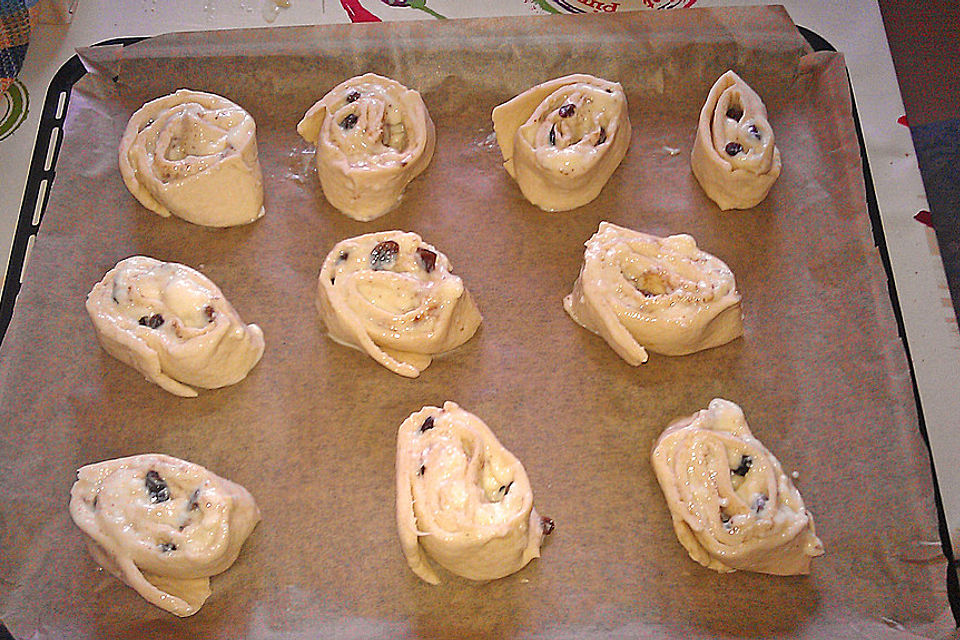 Puddingschnecken Puddingschnecken