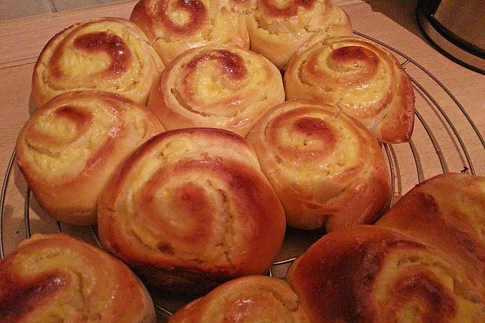 Puddingschnecken Puddingschnecken