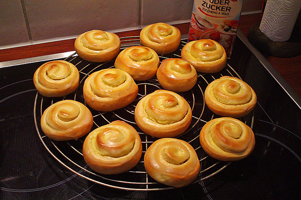 Puddingschnecken Puddingschnecken