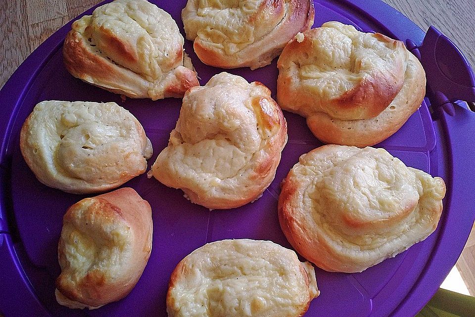 Puddingschnecken Puddingschnecken