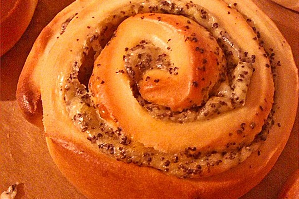 Puddingschnecken Puddingschnecken