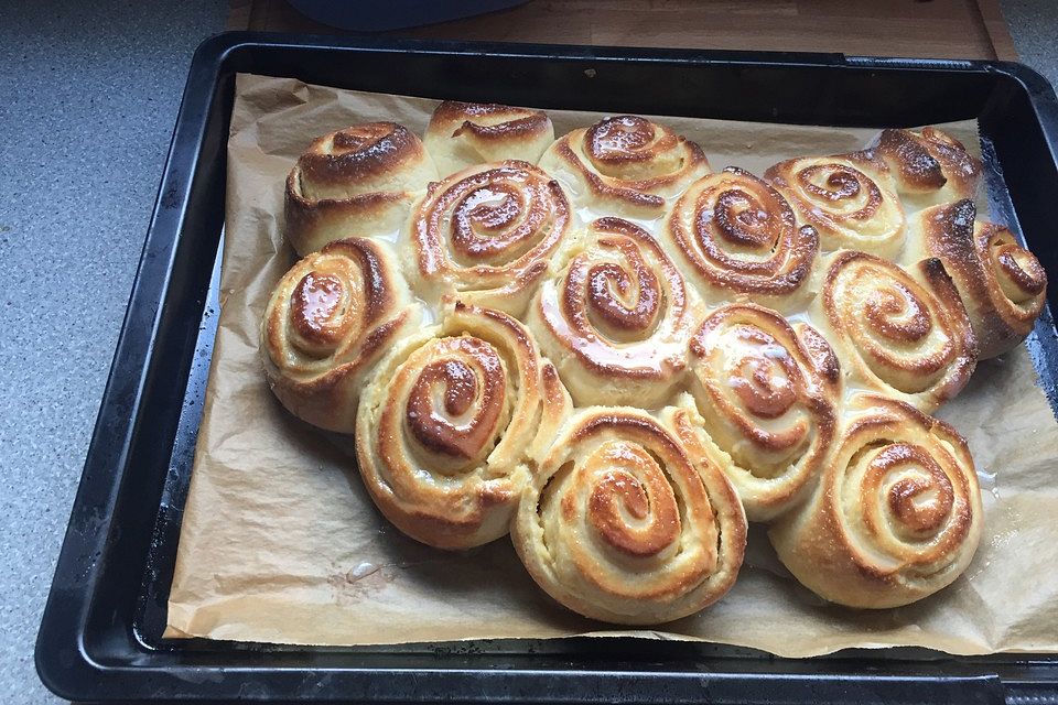 Puddingschnecken Puddingschnecken