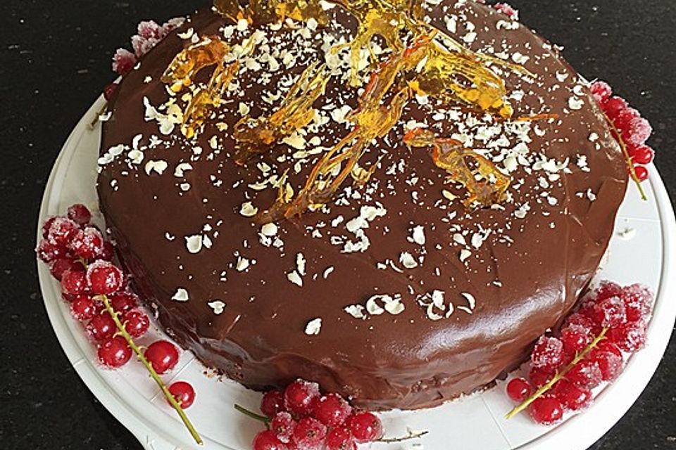 Burgis Sachertorte - eine wienerische Variante