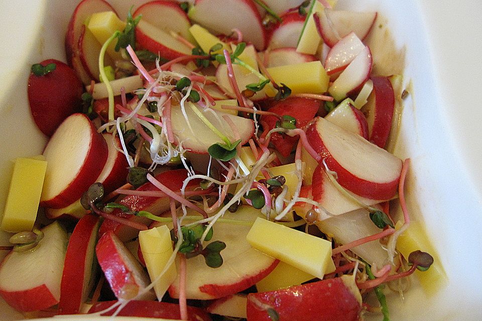 Radieschen - Kresse - Salat mit Leberkäse