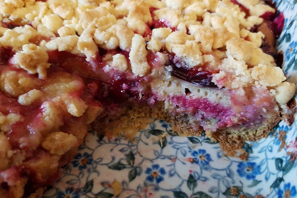 Pflaumenkuchen aus Quarkölteig mit Streuseln