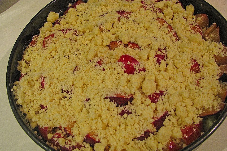 Pflaumenkuchen aus Quarkölteig mit Streuseln