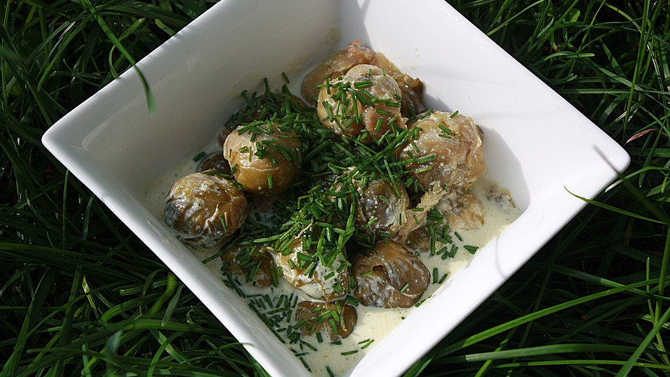 Rosenkohl in Käsesauce von brotkrümmel