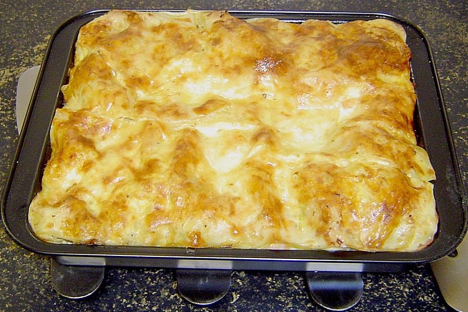 Austernpilz - Lachs - Lasagne