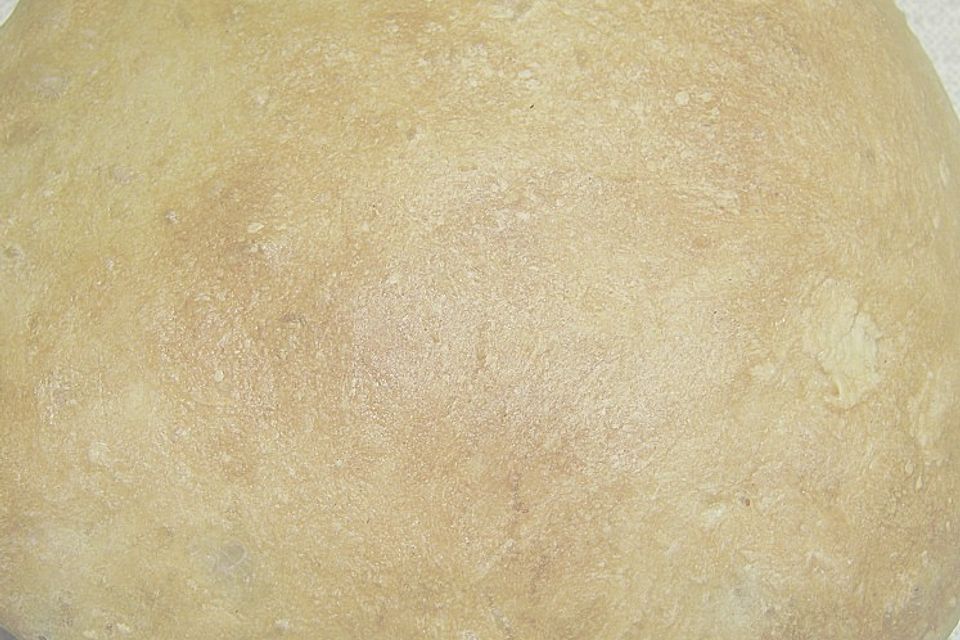 Ciabatta - Brötchen Ciabatta - Brötchen