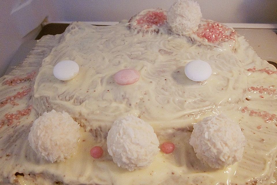 Raffaello - Baileys - Schokokuchen