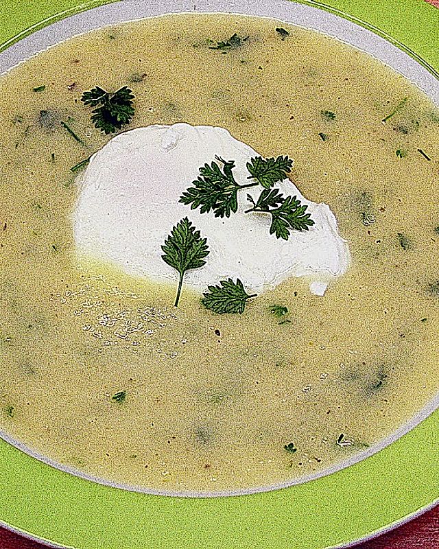 Kohlrabi - Kerbel - Suppe