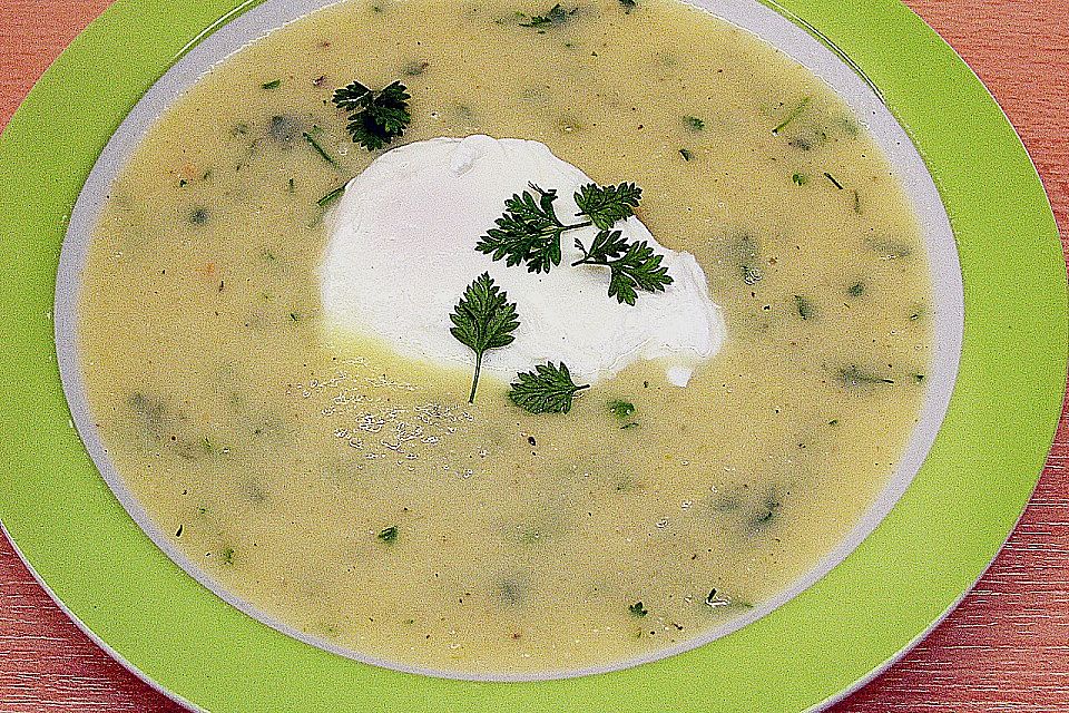 Kohlrabi - Kerbel - Suppe