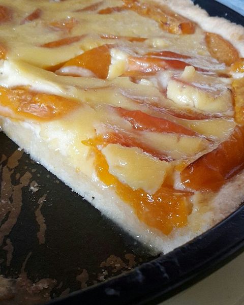 Marillenkuchen Rezepte | Chefkoch