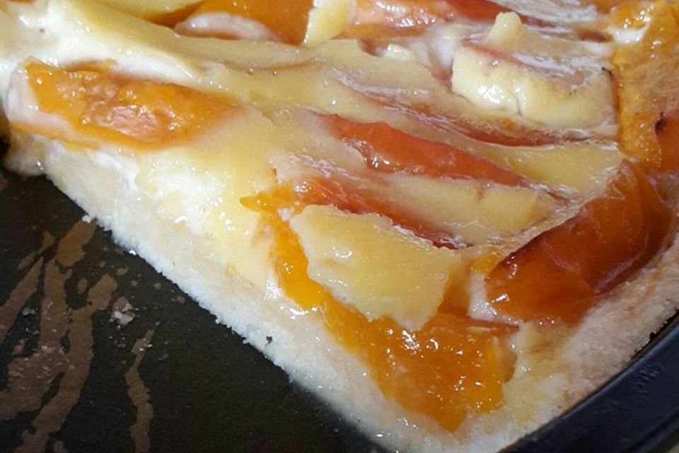 Marillenkuchen mit Guss Marillenkuchen mit Guss