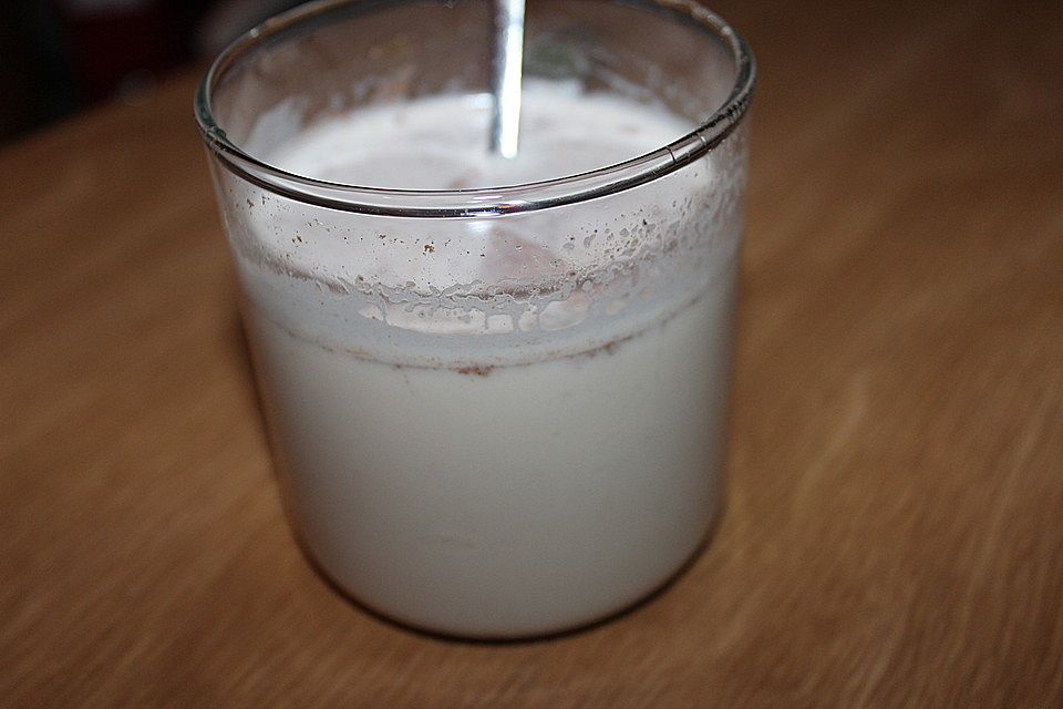 Ayurvedische Gewürzmilch