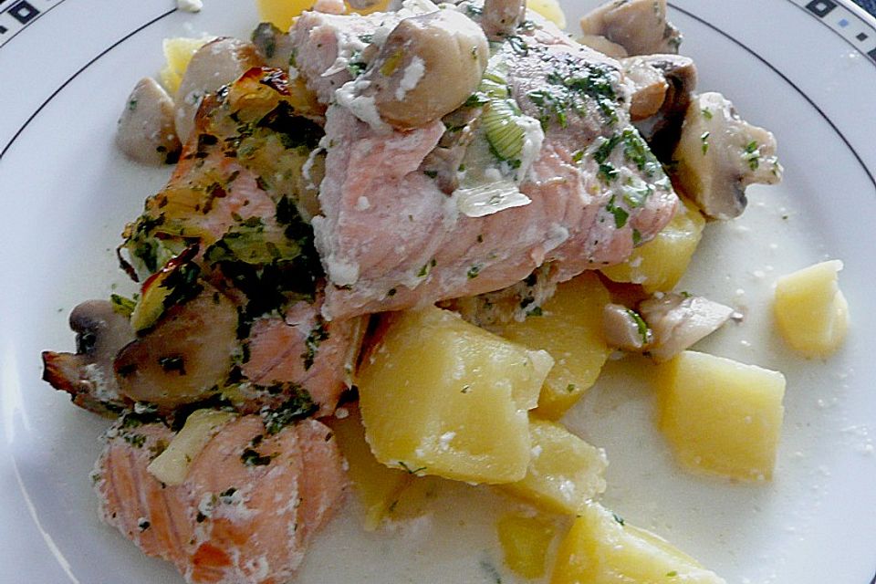 Lachs - Kartoffel Gratin mit Champignon - Rahm