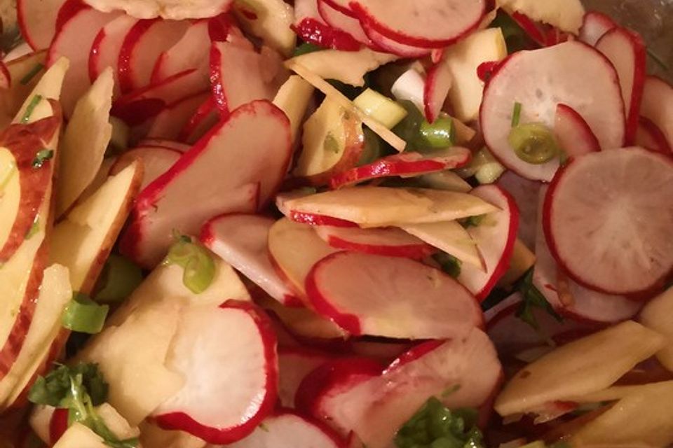 Radieschensalat Radieschensalat