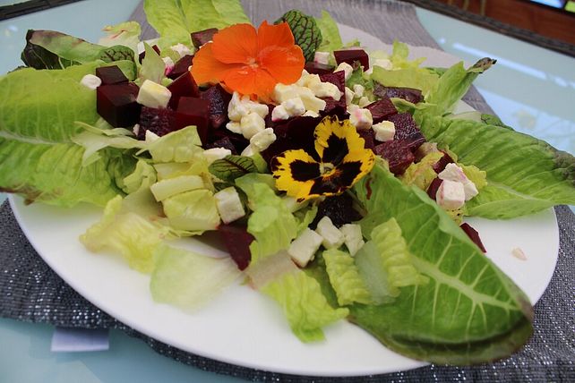 Rote Bete - Salat mit Zitronen - Senf - Dressing| Chefkoch