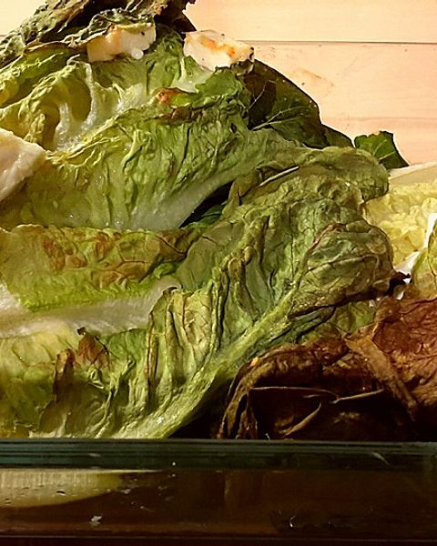 Salatherzen Rezepte | Chefkoch