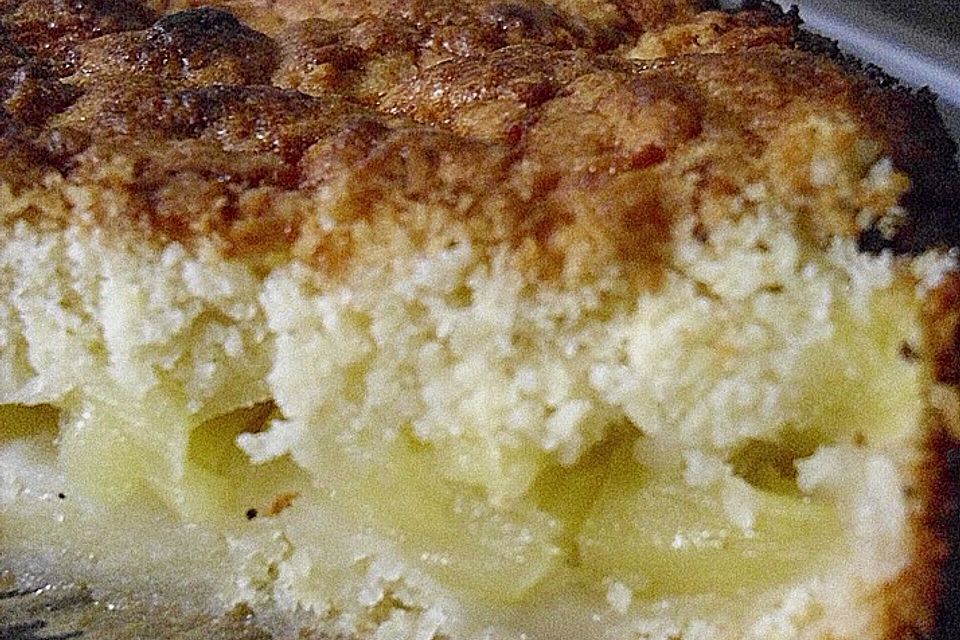 saftiger Apfelkuchen