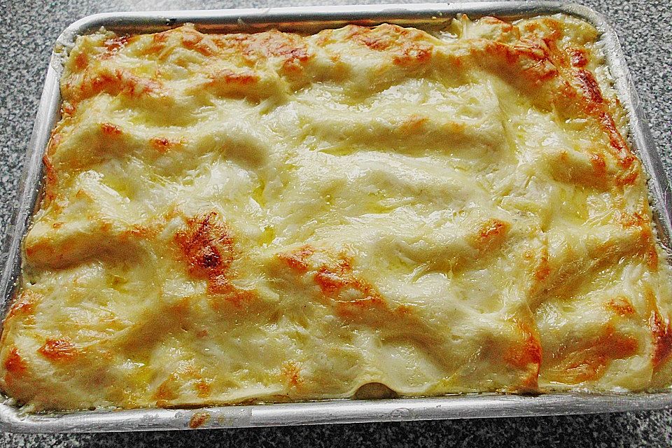 Fischlasagne