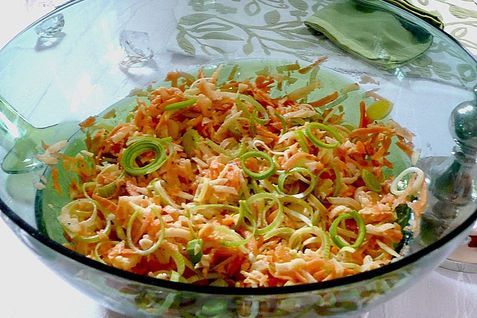 Apfel - Karotten - Lauch - Salat