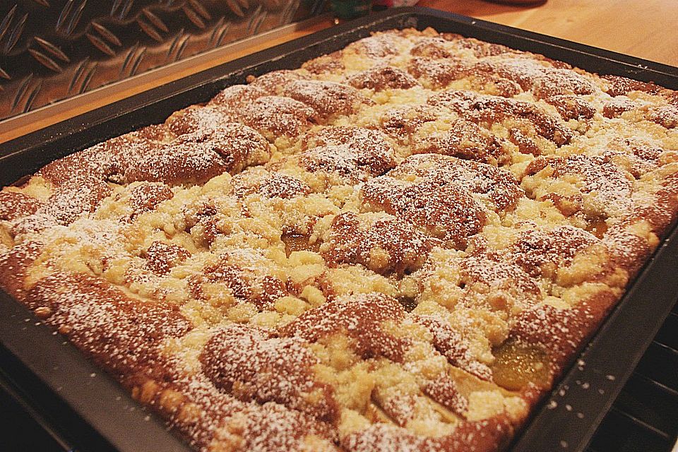 Schokoladen - Aprikosen - Blechkuchen mit Streuseln