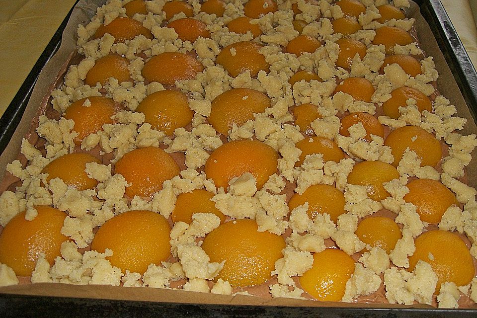 Schokoladen - Aprikosen - Blechkuchen mit Streuseln