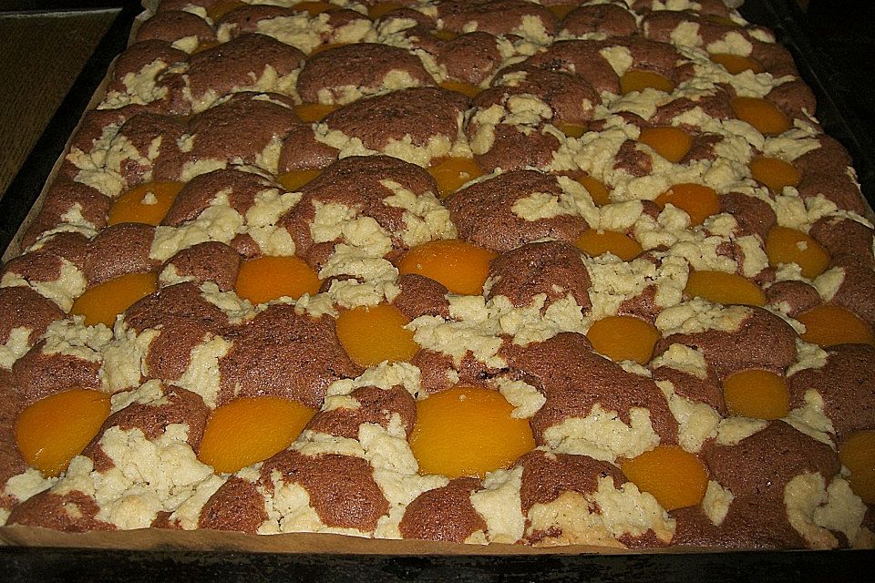 Schokoladen - Aprikosen - Blechkuchen mit Streuseln