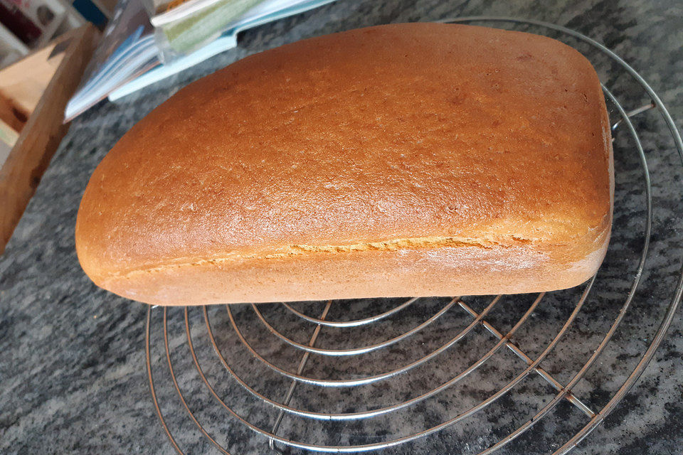 Maisbrot Maisbrot