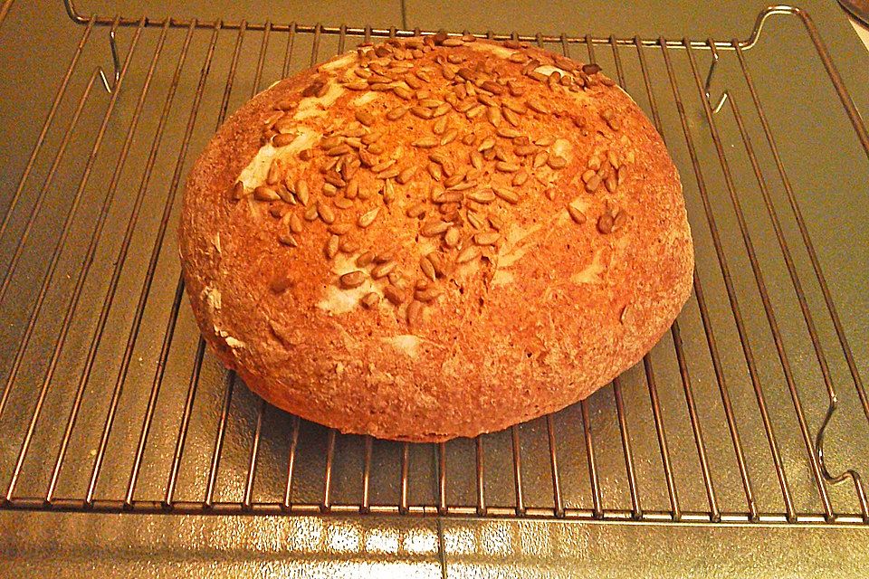 Sauerteigbrot, Roggenmischbrot