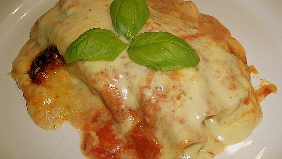 Cannelloni mit Gemüse-Hackfleisch-Füllung von hilda