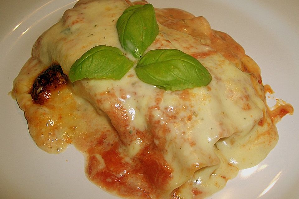 Cannelloni mit Gemüse-Hackfleisch-Füllung