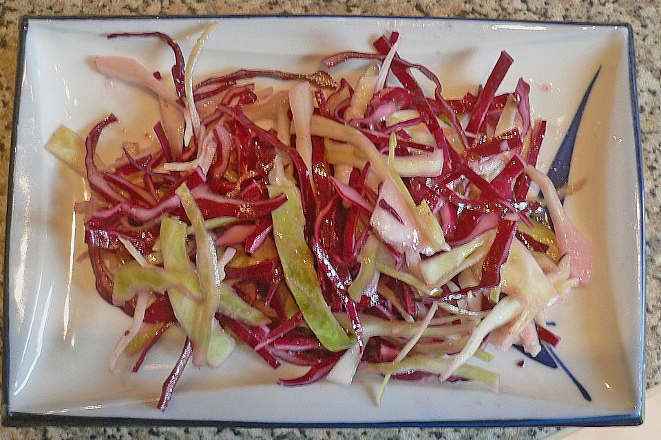 Rot - grüner Krautsalat